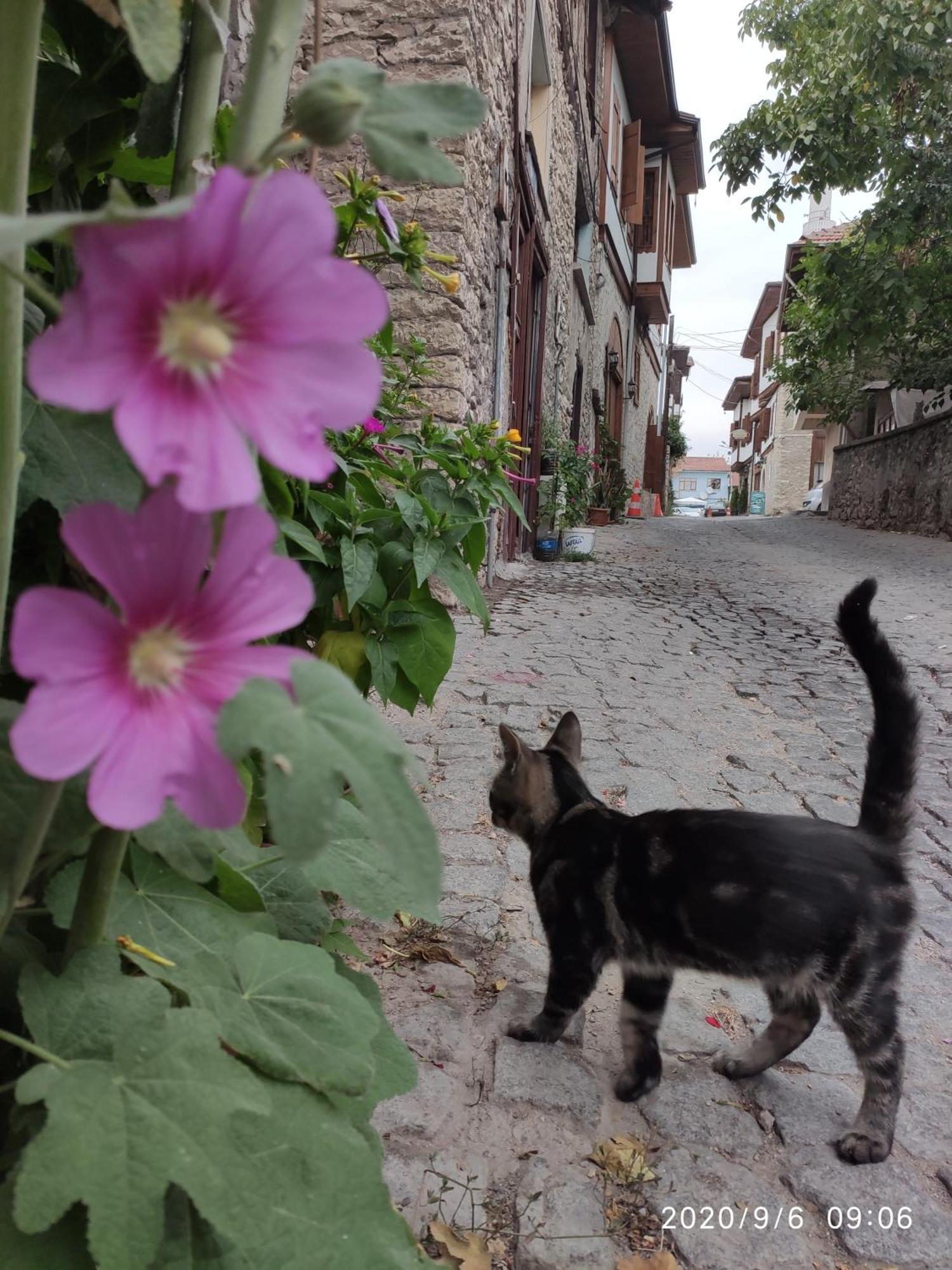 Demirkapi Konak Hotel Safranbolu Luaran gambar
